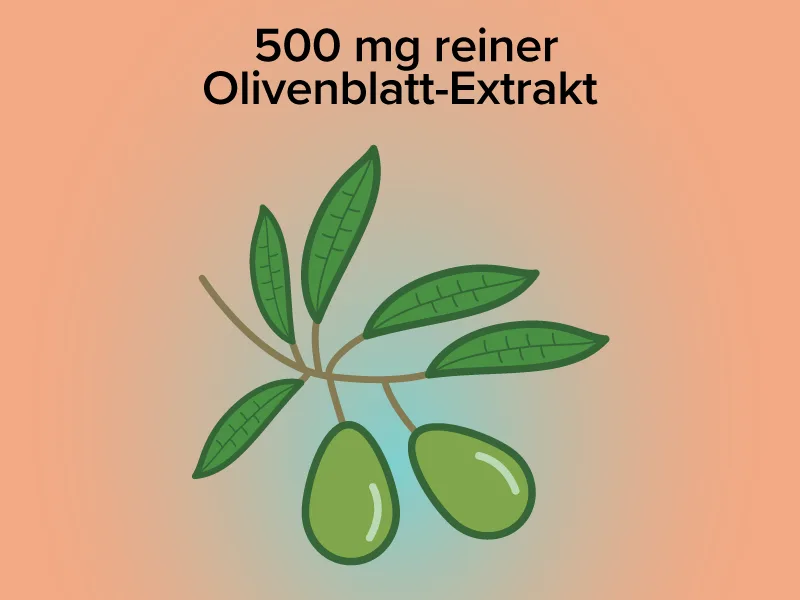 Olive sheet extract capsules - high -dose - 500 mg extract and 100 mg oleuropein - quality from Germany - vegan - without additives - laboratory testing - natural & pure antioxidant - vitamineULE  - 500 mg reiner Olivenblatt Extrat