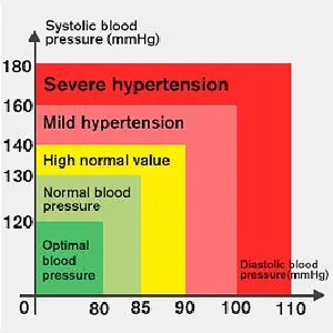 MMIZOO Blood Pressure Monitor Large LCD Display & Adjustable Wrist Cuff 5.31-7.68 inch Automatic 90x2 Reading Memory for Home Use (CK-102S) - product information 7