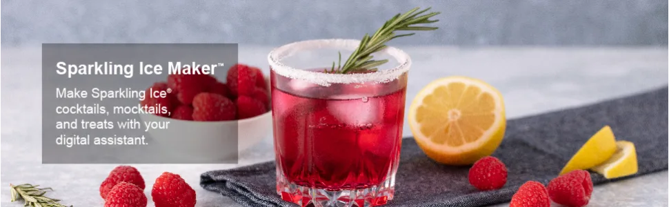 Sparkling Ice +Caffeine Black Raspberry Sparkling Water with Antioxidants and Vitamins Zero Sugar 16 fl oz Cans (Pack of 12) - unspecified