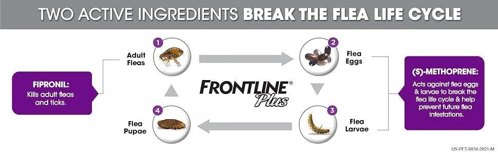 FRONTLINE Plus Flea and Tick Treatment for Dogs (Large Dog 45-88 Pounds) - break flea tick life cycle