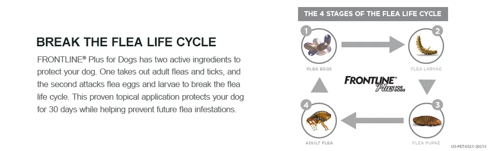 FRONTLINE Plus Flea and Tick Treatment for Dogs (Large Dog 45-88 Pounds) - Flea and Tick Lifecycle