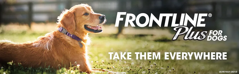 FRONTLINE Plus Flea and Tick Treatment for Dogs (Large Dog 45-88 Pounds) - frontline plus flea tick treatment prevention medicine medication drops
