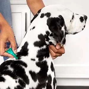 FRONTLINE Plus Flea and Tick Treatment for Dogs (Large Dog 45-88 Pounds) - frontline plus flea tick treatment prevention medicine medication drops