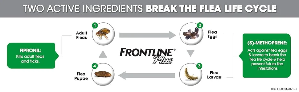 FRONTLINE Plus Flea and Tick Treatment for Cats - Flea and tick lifecycle