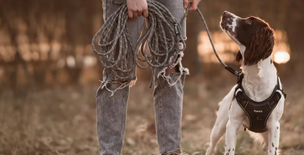 FLOXIK RUTICATIONS ELASTIC SLEAR for medium -sized dogs |Bungee linen extension for every dog leash |Ideal for jogging cycling and walking black - Floxik Brandstory