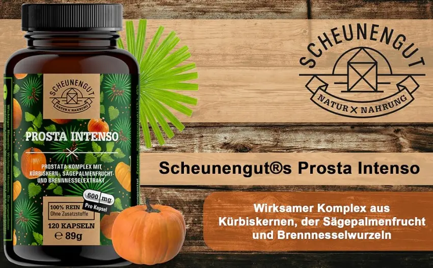 Prosta Intenseo prostate capsules - Important: laboratory tester brand complex with saw palm extract nettle root pumpkin seeds zinc selenium & more I SAW Palmetto -De- Scheunengut 1 - brennnessel kürbiskernöl prostata sägepalmenextrakt saw palmetto prostata kapseln