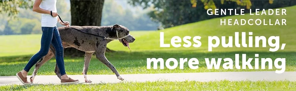 PetSafe Gentle Leader Headcollar No-Pull Dog Collar – Perfect for Leash & Harness Training - Harness, full body, chest, sport, easy walk, no pull