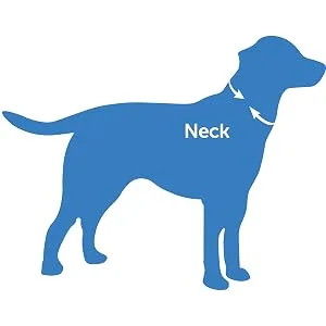 PetSafe Gentle Leader Headcollar No-Pull Dog Collar – Perfect for Leash & Harness Training - Neck strap measure proper fit gentle leader head collar
