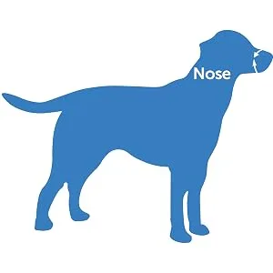 PetSafe Gentle Leader Headcollar No-Pull Dog Collar – Perfect for Leash & Harness Training - nose loop measure gentle leader no pull solution headcollar