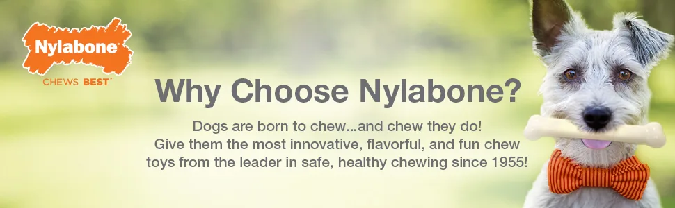 Nylabone Puppy Chew Toys for Teething Puppies  Small/Regular - Up to 25 Ibs - unspecified