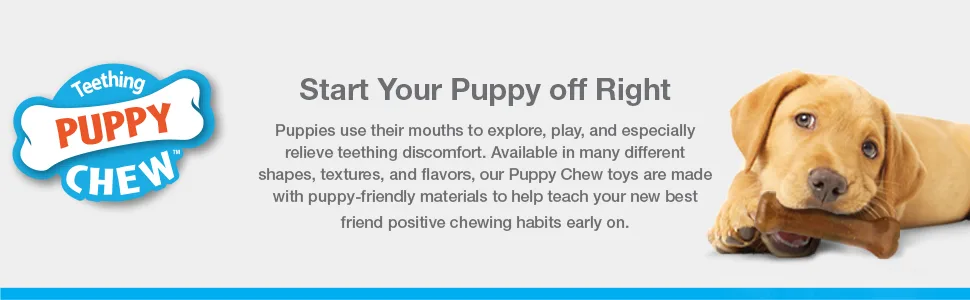 Nylabone Puppy Chew Toys for Teething Puppies  Small/Regular - Up to 25 Ibs - unspecified
