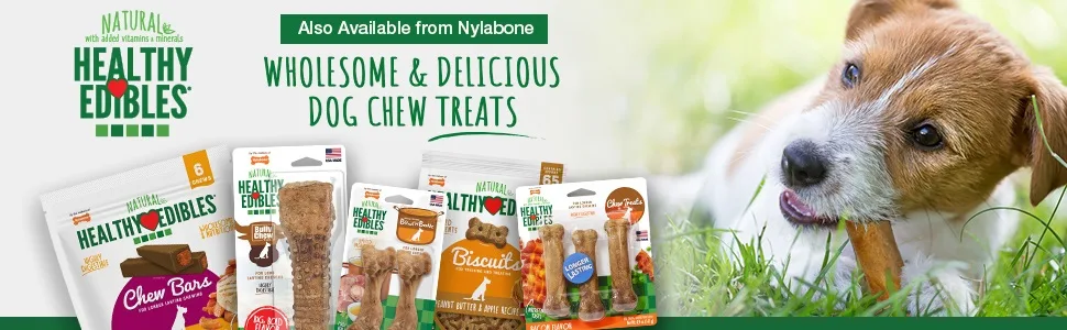 Nylabone Puppy Chew Toys for Teething Puppies  Small/Regular - Up to 25 Ibs - unspecified