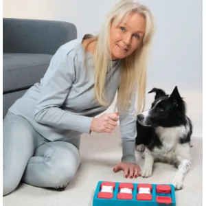 Nina Ottosson by Outward Hound Dog Treat Puzzle - unspecified