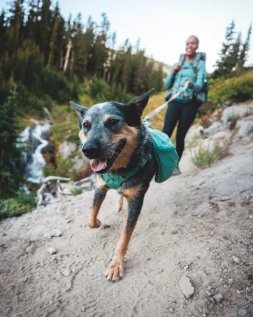 Undercoat Water Jacket Medium Campfire Orange - ruffwear