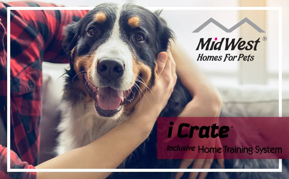 MidWest Homes for Pets iCrate Single Door & Double Door Dog Crates - large header