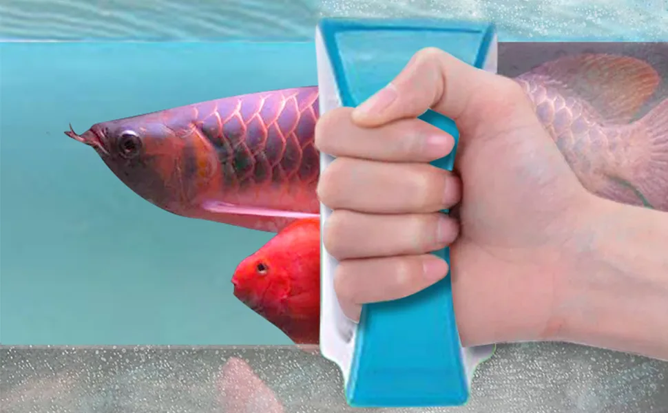 NEPTONION Magnetic Aquarium Fish Tank Glass Algae scrapers Glass Cleaner Scrubber Clean Brush [FloatingScratch-FreeNon-Slipmagnetizing] - Magnetic Algae scrapers