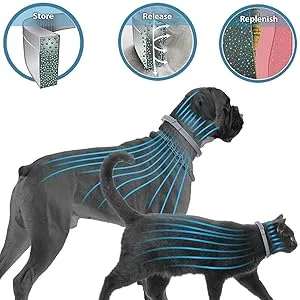 ShengKou Flea and Tick Collar for Dog Made with Natural Plant Based Essential Oil Fits Large Dog - 2 Packs - shengkou flea collar