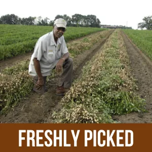 We Got Nuts Peanuts Dry Roasted Unsalted Blanched - 5 Lbs - farm fresh