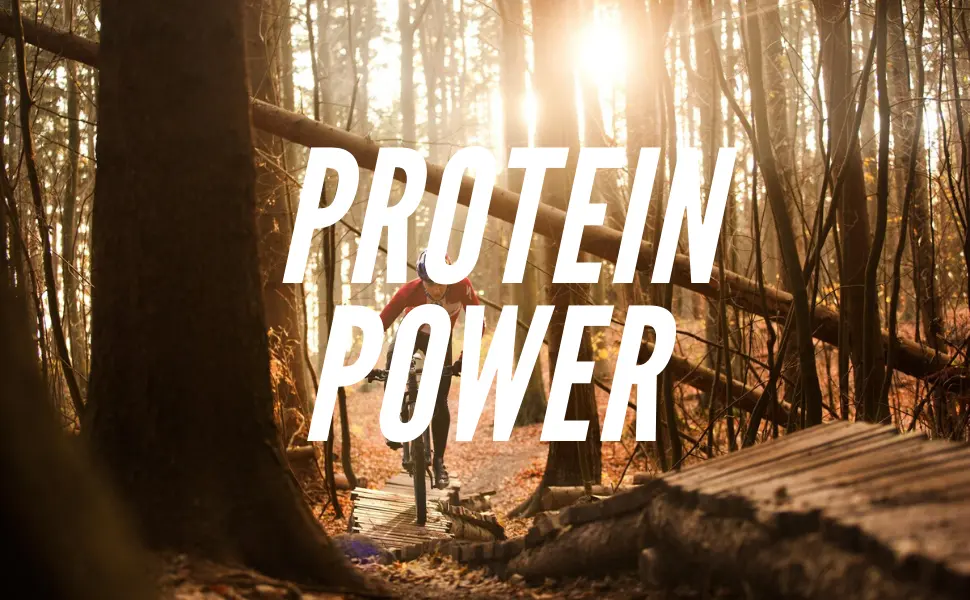 We Got Nuts Peanuts Dry Roasted Unsalted Blanched - 5 Lbs - provide energy with protein
