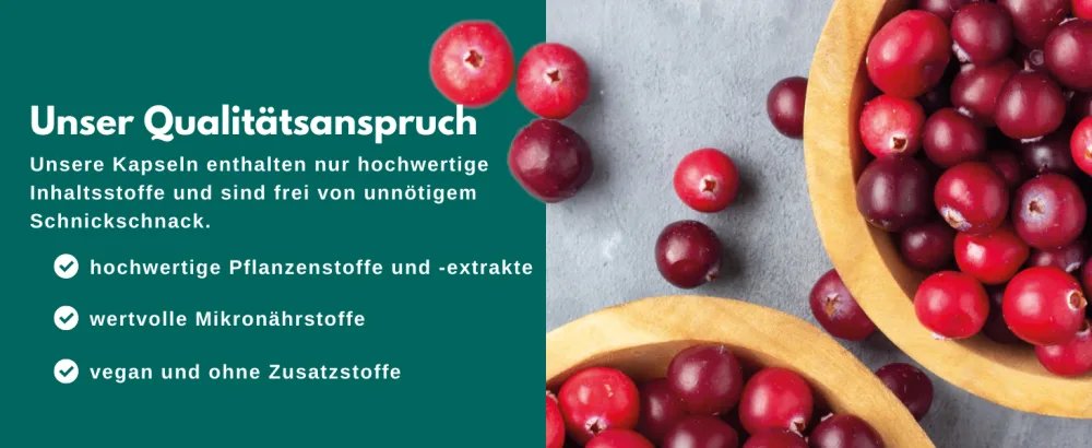 SOLVISAN Cranberry D-Mannose - A unique formula - supplemented with Echinacea Vitamin C and D - 60 capsules - cranberry extrakt cranberry d mannose mannose cranberry mittel gegen blasenentzündung vorbeugung