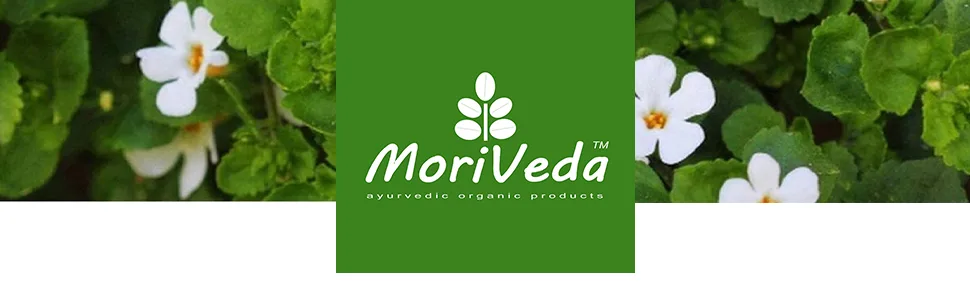 Brahmi capsules (500mg) - memory concentration anti -aging - 2 months stock - vegan and without additives - memory plant - 120 pieces by Moriveda - Header