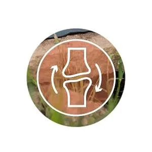 G7 original.Improved formula.Vegan's liquid silicon supplements that support collagen production.1 liter - 1000 ml. - product information 16