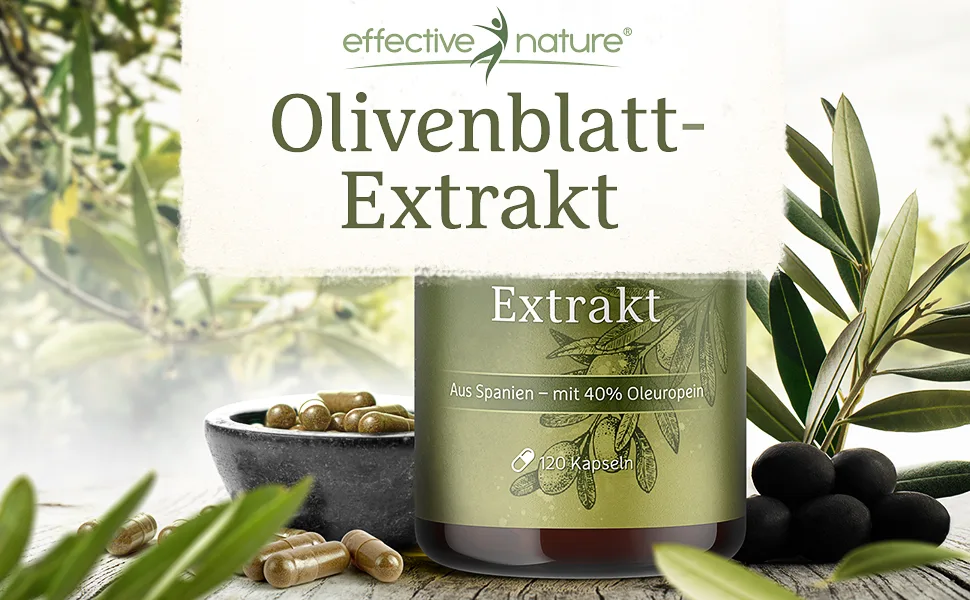 Oliveblatte extract capsules high -dose - 120 capsules with 750 mg per day - olive leaf extract with 300 mg oleuropein - is enough for 2 months - vegan - Olivenblattextrakt