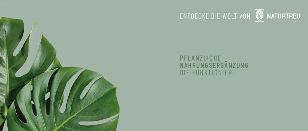 Vitamin A drop high dose - 5000 I.E (1500 g) per daily dose - vegan - vitamin A liquid - retinol natural feast 1700 drops 50 ml - Naturtreu Markengeschichte Banner