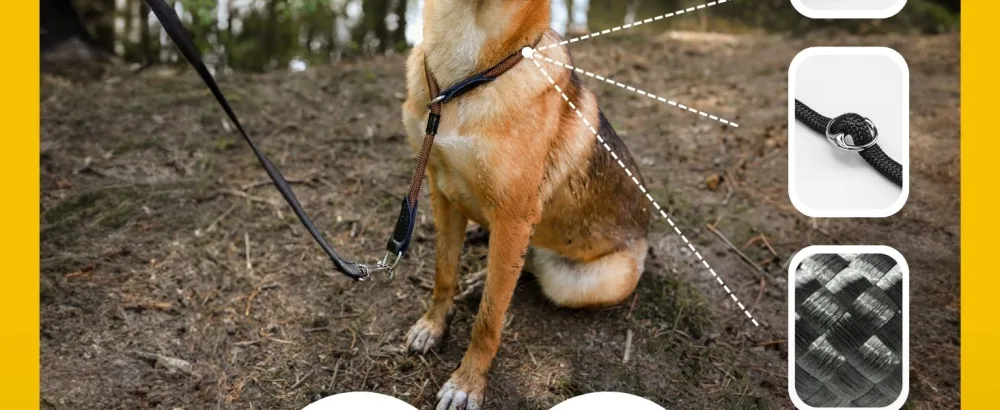lionto dog collar retriever collar training collar length 60 cm red Red 60 cm length 1 cm thickness - Hundehalsband