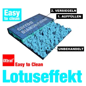 Ixtral shower + window glass seal cleaning permanently 2-in-1 set with nano glass cleaner for lotus effect. - Easy-to-Clean Oberflächen durch Glasversiegelung Nanoversiegelung für Dusche & Fliesen im Bad