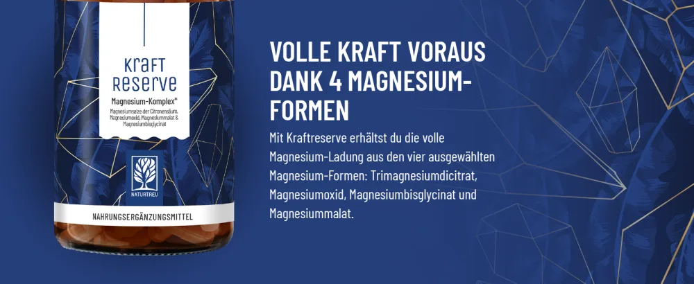 Magnesium complex high dose - complex with: magnesium citrate bisglycinate magnesium malate and magnesium oxide - vegan - 180 capsules - Kraftreserve 4 Magnesiumformen Slider 1