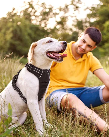 Rabbitgoo dog harness medium -sized dogs anti train cuddling dog with control no pull adjustable dog harness large dogs breathable reflex strip breasts. - hundegeschirr