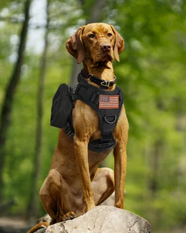 Rabbitgoo dog harness medium -sized dogs anti train cuddling dog with control no pull adjustable dog harness large dogs breathable reflex strip breasts. - hundegeshirr
