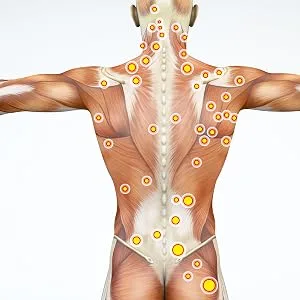 My balance high-quality trigger point massager i robust processed massage tab including silicone attachments & e-book i treat trigger points effectively black - triggerpunkt stab body back buddy thera cane bodybackbuddy
