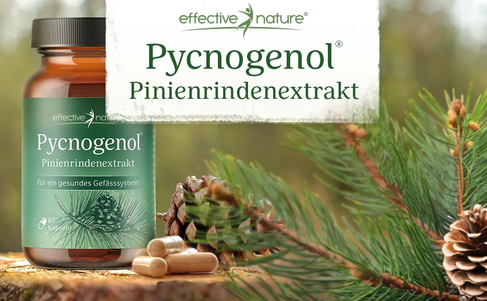 Pine bark extract highly dose - original pycnogenol - with vitamin C from the acerola cherry - 60 vegan capsules - enough for two months - vegan - pinienrinde extrakt pinienrindenextrakt kieferrindenextrakt kiefernrinden pinienextrakt arginin