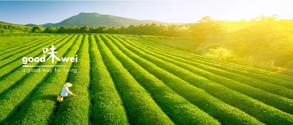 Goodwei Matcha Complete Set including Organic Matcha Tea (Kumo) - Goodwei Brand Story Image