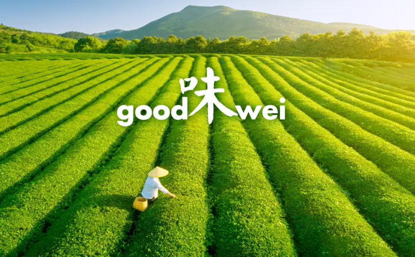 Goodwei Matcha Complete Set including Organic Matcha Tea (Kumo) - goodwei tea garden
