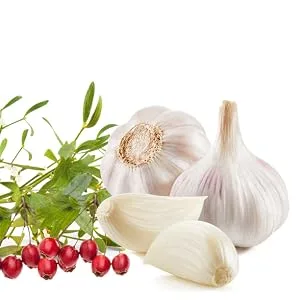 Fairvital | Garlic capsules with mistletoe + hawthorn - KMW capsules - HIGH DOSE - VEGAN - 120 capsules - Fairvital