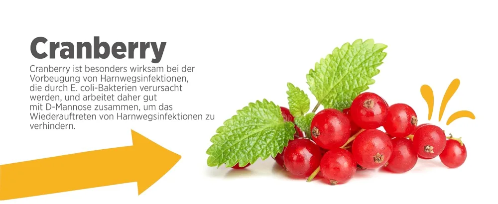 maxxipaws | maxxidog maxxiUtract Cranberry Urinary & Bladder Supplement for Dogs | Powder 150g - maxxipaws