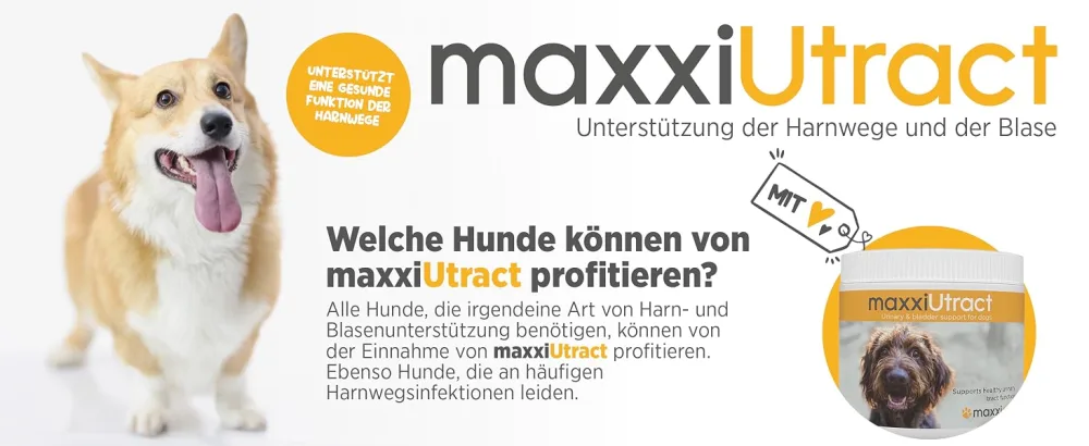 maxxipaws | maxxidog maxxiUtract Cranberry Urinary & Bladder Supplement for Dogs | Powder 150g - maxxipaws
