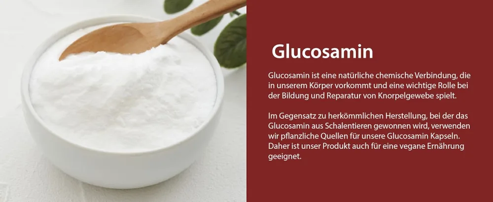 VITACOCONEPT I Glucosamine | 1000 mg high-dose extract per capsule | 100 capsules made of cellulose | vegan | made in Germany - Glucosamin HCL