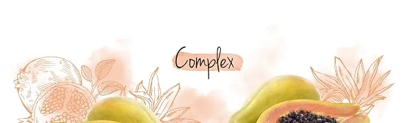 Immune system complex Vegavero |With echinacea vitamin C vitamin D3 selenium ginger and zinc |120 capsules |Strengthen defenses* |Vegan - Vegavero complex