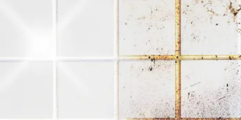 Super clean tile and joint cleaner for all types of tiles and joints content 500 ml. Thorough cleaning and environmentally friendly product. - Glanz