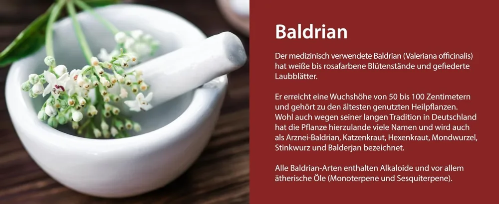 VITACONCEPT I Valerian I 5000 mg per capsule I 10:1 extract I 120 valerian capsules I high dosage I Made in Germany - Baldrian