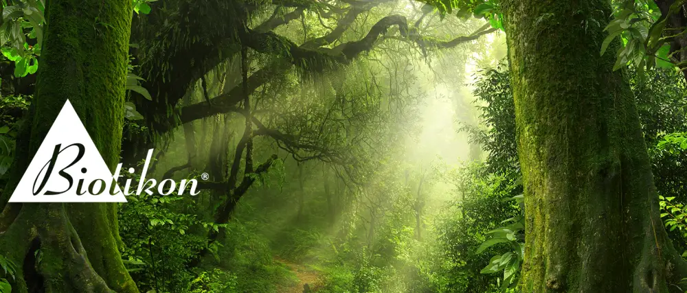Herbal iron Dr. med. Michalzik - without additives - from Biotikon  - urwald 1 logo