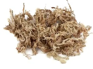 Sphagnum moss for terrariums and orchids from Chile 1 x 500 g 1x500gr - Chile Moos nah