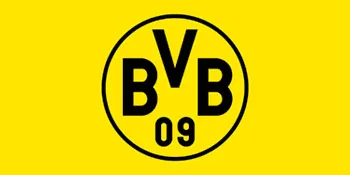 Borussia Dortmund BVB hair brush - BVB Logo
