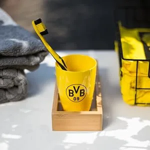 Borussia Dortmund BVB hair brush - Kategorie_Bad 1