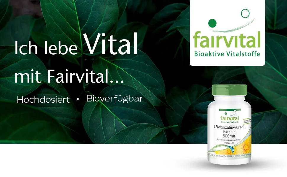 Dandelion capsules - 500mg dandelion root extract per capsule - HIGH DOSE - 10x concentrated - VEGAN - 90 capsules - product information 11
