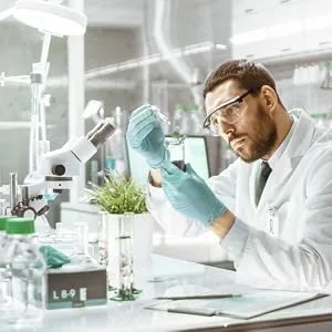Zinc tablets highly dose - 50mg zinc gluconate per tablet - 365 vegan zinc tablets as a 2 -year supply - Dietary supplements from Alparella Elements - Alparella Elemants Zink Nahrungsergänzung Zinktabletten HOCHKONZENTRIERTES NAHRUNGSERGÄNZUNGSMITTEL